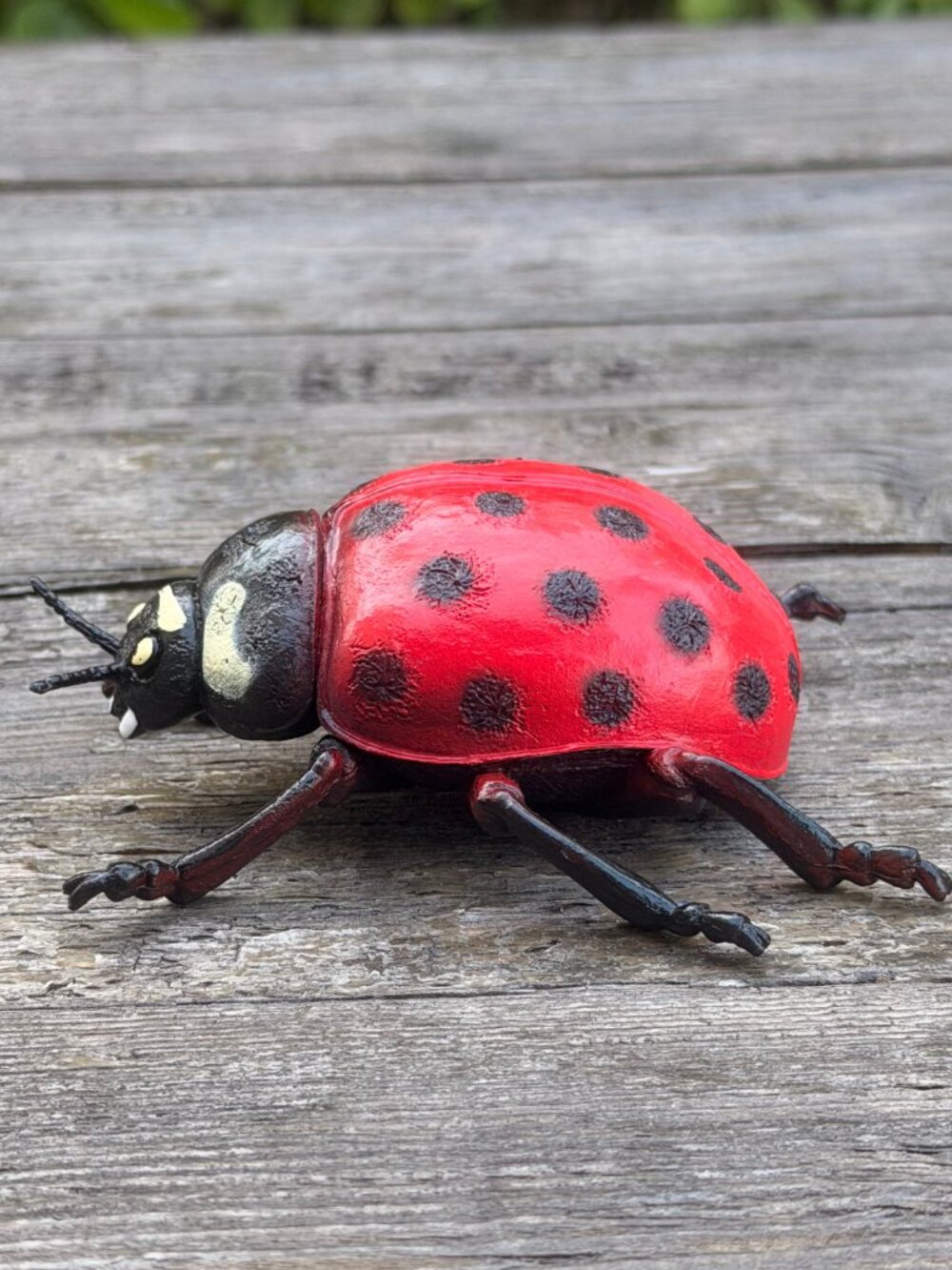 Luckystar Education Lady Bug Plastic Animal Figure Large 5" Science Nature Toy - Picture 3 of 10